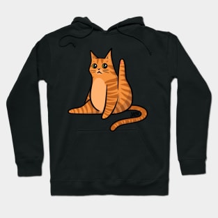 Ginger Cat Leg Up Hoodie